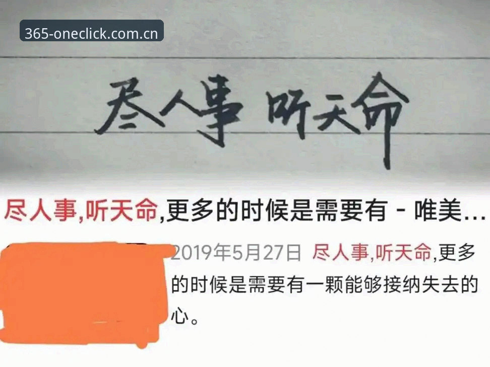 一个老体育迷的365官网登录入口使用心得：从踩坑到找到正确入口的完整记录