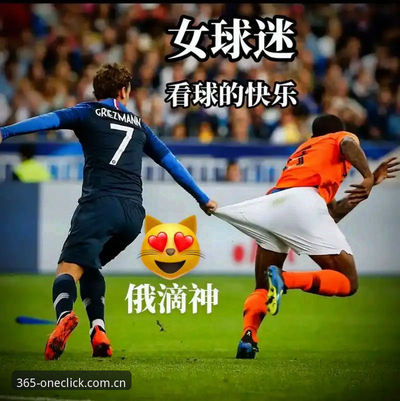 365官网登录入口体育资讯全面评测：从一个老球迷的深夜看球说起